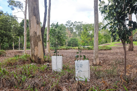 Vital Eco Tree Sleeve